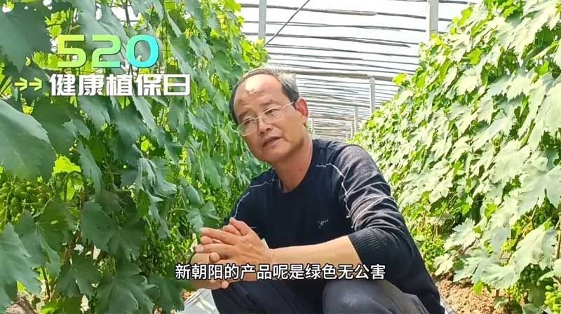520健康植保日——擁抱綠色農業，我們在行動