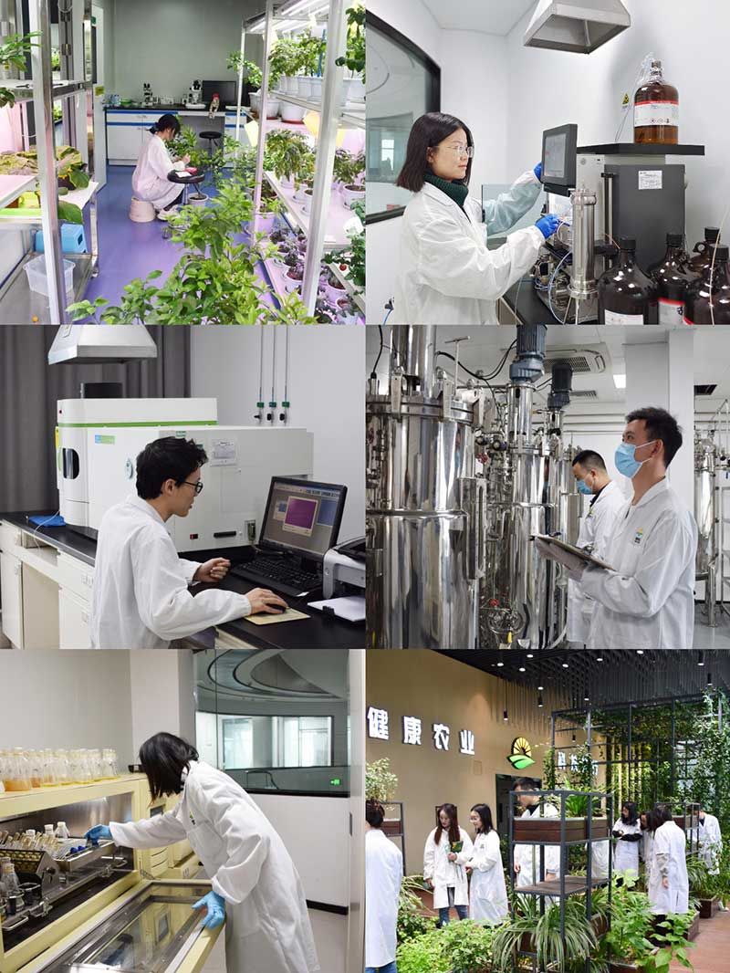 “全國科技工作者日”：推動農業(yè)綠色高質量發(fā)展，新朝陽科研人在路上